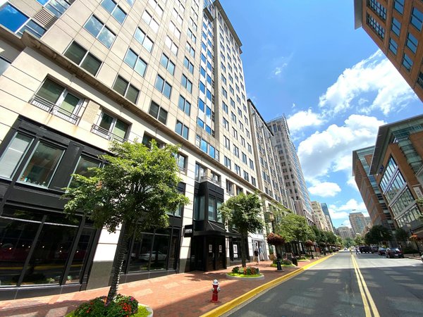 Décoration bambou pour maison : style naturel et durable